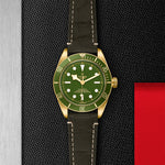 TUDOR BLACK BAY 58 18K